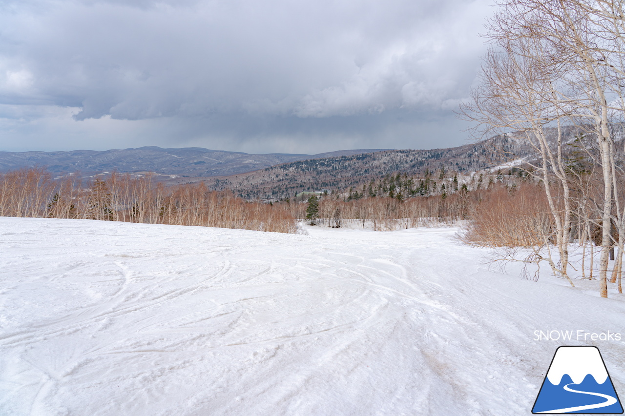 キロロリゾート｜寒波到来で、雪解けはひと休み。滑走距離2,000ｍ級のロングコースを楽しみましょう(^_-)-☆